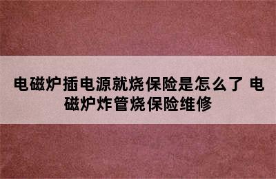 电磁炉插电源就烧保险是怎么了 电磁炉炸管烧保险维修